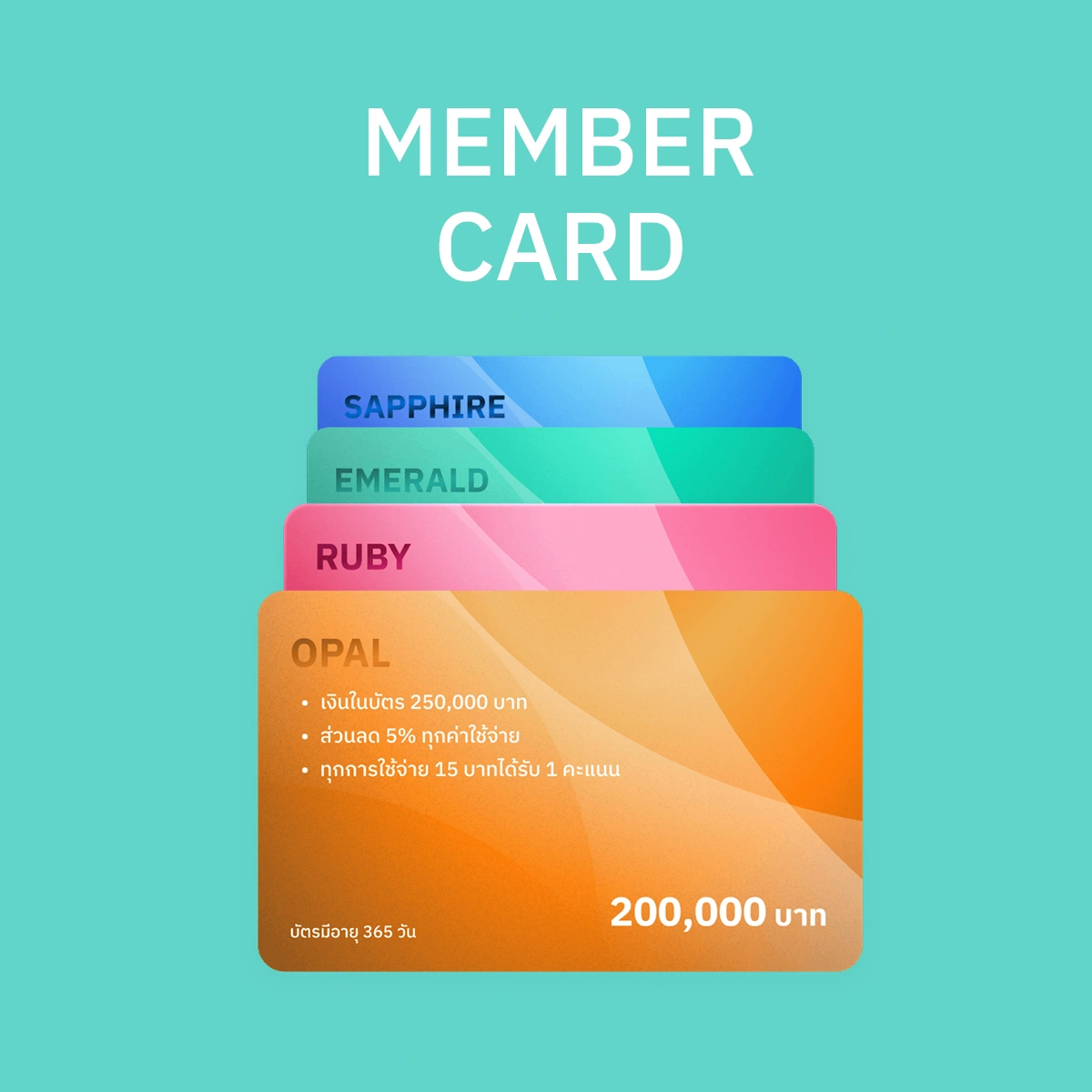 LOYALTY PROGRAM